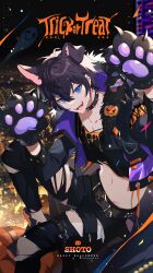 Rule 34 | 1boy, absurdres, animal ears, animal hands, black choker, blue eyes, character name, choker, dog boy, dog ears, dog paws, earrings, gloves, happy halloween, highres, hp (3000x4500), indie virtual youtuber, jack-o&#039;-lantern, jewelry, male focus, navel, open mouth, pants, paw gloves, shoto (vtuber), torn clothes, torn pants, trick or treat, virtual youtuber