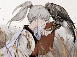 Rule 34 | 1boy, androgynous, animal on arm, archer (fate/samurai remnant), bird, bird on arm, chinese clothes, closed eyes, commentary, fate/samurai remnant, fate (series), from side, grey hair, high ponytail, highres, long hair, male focus, minatsunen, multicolored hair, muted color, outdoors, ponytail, profile, smile, solo, streaked hair, upper body, wheat field, white hair