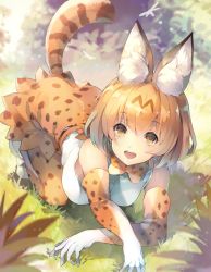 Rule 34 | 10s, 1girl, animal ears, blush, breasts, deecha, elbow gloves, gloves, highres, kemono friends, large breasts, looking at viewer, open mouth, orange eyes, orange gloves, orange hair, serval (kemono friends), serval tail, short hair, smile, solo, tail