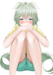 Rule 34 | 1girl, absurdres, alternate costume, animal ears, aqua shorts, blue eyes, blush, commentary request, covering own mouth, ears down, green hair, hair between eyes, highres, horse ears, horse girl, horse tail, knees up, looking at viewer, seiun sky (umamusume), shirt, short hair, short sleeves, shorts, simple background, solo, tail, tsuyusora, umamusume, white background, yellow shirt