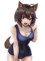 Rule 34 | 1girl, ahoge, animal ears, blue one-piece swimsuit, blush, brave witches, breasts, brown eyes, brown hair, cleavage, collarbone, commentary request, cowboy shot, hair ornament, hairclip, hand on own chest, hand under clothes, karibuchi hikari, large breasts, liar lawyer, looking at viewer, one-piece swimsuit, open mouth, school swimsuit, shiny skin, short hair, simple background, smile, solo, standing, swimsuit, tail, thigh gap, white background, world witches series