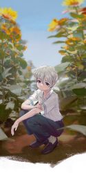 Rule 34 | 1girl, absurdres, androgynous, black pants, blue eyes, brown footwear, collared shirt, corette, flower, grey hair, highres, leni milchstrasse, looking at viewer, pants, parted lips, plant, sakura taisen, sakura taisen ii, shirt, short hair, solo, squatting, sunflower, white shirt