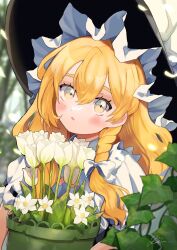 Rule 34 | 1girl, blonde hair, blurry, blurry background, blush, braid, daisy, eyebrows hidden by hair, flower, hair between eyes, hat, highres, holding, holding flower, kirisame marisa, long hair, looking at viewer, outdoors, parted lips, solo, touhou, tulip, uchisaki himari, upper body, very long hair, white flower, witch hat, yellow eyes
