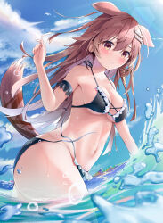 Rule 34 | 1girl, absurdres, animal ears, armpits, bikini, black bikini, blush, breasts, brown eyes, brown hair, cleavage, cloud, day, dog ears, dog girl, hair between eyes, hair ornament, hairpin, highres, hololive, inugami korone, long hair, looking at viewer, medium breasts, open mouth, outdoors, partially submerged, sky, solo, swimsuit, virtual youtuber, water, wet, wolfgang (paul94104875)