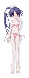 Rule 34 | 00s, 1girl, barefoot, blue eyes, blue hair, blush, bow, bow bra, bow panties, bra, cameltoe, dakimakura (medium), embarrassed, feet, flat chest, from above, full body, hair ribbon, itou noemi, legs, lingerie, long hair, lying, matching hair/eyes, navel, on back, open mouth, panties, pink panties, plaid, plaid bra, plaid panties, ponytail, ribbon, side-tie panties, side ponytail, solo, thigh gap, underwear, underwear only, undressing, untied, very long hair, with you