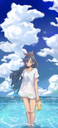 Rule 34 | 1girl, absurdres, anjerain, black eyes, black hair, cloud, floating hair, ganaha hibiki, highres, holding, holding clothes, holding footwear, idolmaster, idolmaster (classic), looking at viewer, ocean, sandals, shirt, sky, smile, solo, standing, white shirt