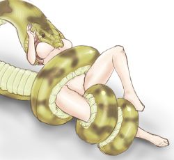 Rule 34 | 1girl, absurdres, animal, breasts, coiled, fozz (fottsu), groin, highres, large breasts, nude, original, peril, restrained, snake, vore