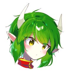 Rule 34 | 1girl, closed mouth, draco centauros, green hair, highres, horns, madou monogatari, offbeat, pointy ears, portrait, puyopuyo, short hair, simple background, solo, white background, yellow eyes