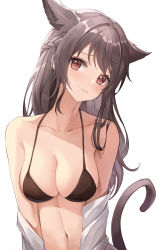Rule 34 | 1girl, animal ears, bikini, black bikini, braid, breasts, cat ears, cat tail, closed mouth, collarbone, highres, lips, looking at viewer, lunacle, medium breasts, navel, original, red eyes, simple background, solo, swimsuit, tail, white background