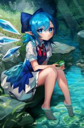 Rule 34 | 1girl, absurdres, animal, barefoot, blue bow, blue dress, blue eyes, blue hair, bow, cirno, closed mouth, commentary, dress, english commentary, forest, frog, full body, grass, hair between eyes, hair bow, highres, holding, holding animal, ice, ice wings, light rays, looking at viewer, making-of available, medium hair, nature, neckerchief, outdoors, pointy ears, puffy short sleeves, puffy sleeves, red neckerchief, river, rock, shianebulae, shirt, short sleeves, signature, sitting, soaking feet, solo, touhou, white shirt, wings