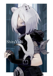 Rule 34 | 1girl, absurdres, animal, animal ears, animal on arm, arknights, armband, black gloves, blue eyes, border, character name, commentary, ear piercing, ermine, ferret, fingerless gloves, fishnet sleeves, fishnets, from side, gloves, highres, looking at viewer, mask, miike (992058), mouth mask, outside border, piercing, shirayuki (arknights), short hair, sideways glance, solo, upper body, weasel, weasel ears, white border, white hair
