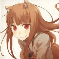 Rule 34 | 00s, 1girl, animal ears, ayakura juu, brown hair, craft lawrence, highres, holo, long hair, red eyes, reflection, solo, spice and wolf, tail, wolf ears, wolf tail