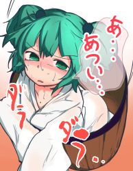 Rule 34 | 1girl, blush, bucket, commentary request, furorina, green eyes, green hair, hair bobbles, hair ornament, hot, in bucket, in container, kisume, short hair, solo, sweat, nervous sweating, touhou, translation request, twintails, wet, wet clothes