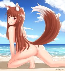 Rule 34 | 1girl, all fours, animal ears, anus, ass, beach, blush, brown hair, cloud, commentary, cslucaris, english commentary, holo, long hair, looking at viewer, nude, ocean, pussy, red eyes, signature, sky, smile, solo, spice and wolf, tail, uncensored, wolf ears, wolf tail