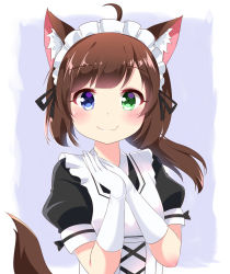 Rule 34 | 1girl, ikazu401, ahoge, animal ears, apron, black dress, black ribbon, blue eyes, blush, brown hair, closed mouth, commentary, dog ears, dog girl, dog tail, dress, elbow gloves, fang, fang out, gloves, green eyes, hands up, heterochromia, highres, long hair, looking at viewer, low ponytail, maid, maid apron, maid headdress, original, own hands together, ponytail, puffy short sleeves, puffy sleeves, ribbon, short sleeves, sidelocks, smile, solo, tail, upper body, white apron, white gloves