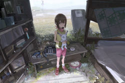 Rule 34 | 1girl, ashtray, bandana, bed, bed sheet, blanket, blender (object), book, brown eyes, brown hair, bunk bed, calendar (object), clock, digimon, digimon (creature), fence, goggles, grass, green shirt, highres, hill, holding, leaf, outdoors, paindude, phone, pillow, pink shorts, plant, railroad crossing, red footwear, refrigerator, ruins, scenery, shirt, short hair, shorts, sidelocks, sky, solo, standing, stuffed animal, stuffed toy, table, tailmon, television, wind chime, yagami hikari