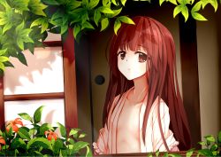 Rule 34 | 1girl, :o, absurdres, bad id, bad pixiv id, blunt bangs, breasts, brown eyes, brown hair, collarbone, commentary request, day, flower, highres, hime cut, houraisan kaguya, japanese clothes, kimono, leaf, long hair, looking at viewer, mu yan, open clothes, open kimono, parted lips, pink kimono, plant, shadow, sidelocks, sliding doors, small breasts, solo, touhou, upper body, window