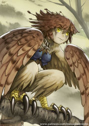 Rule 34 | 1girl, bird legs, breasts, brown feathers, brown wings, commentary request, facial mark, feather hair, feathers, harpy, in tree, jewelry, maxa&#039;, mixed-language commentary, monster girl, necklace, original, patreon username, short hair, small breasts, solo, talons, tooth necklace, tree, winged arms, wings, yellow eyes
