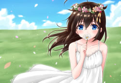 Rule 34 | 1girl, ahoge, alternate costume, alternate hairstyle, arm behind back, bad id, bad pixiv id, black hair, blue eyes, blue sky, blush, cloud, collarbone, covering own mouth, day, dress, floating hair, flower, grass, hair down, hair flaps, hair flower, hair ornament, hairpin, head wreath, holding, holding flower, hoshino kagari, kantai collection, long hair, looking at viewer, petals, shigure (kancolle), shigure kai ni (kancolle), sky, sleeveless, sleeveless dress, solo, sundress, tareme, upper body, white dress, white flower, wind