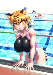 Rule 34 | &gt; &lt;, 3girls, animal ear fluff, animal ears, arm support, artist logo, black hair, blonde hair, blue hair, blush, breasts, brown hair, climbing, collarbone, common dolphin (kemono friends), competition swimsuit, dhole (kemono friends), dog ears, dog girl, dog tail, dorsal fin, extra ears, fang, fangs, fingernails, fins, groin, hair between eyes, hanging breasts, head fins, highleg, highleg swimsuit, highres, japari symbol, kemono friends, kemono friends 3, large breasts, leaning forward, looking at another, looking at viewer, medium hair, mikan toshi, multicolored hair, multiple girls, nail polish, one-piece swimsuit, open mouth, orange hair, partially submerged, pink nails, pool, poolside, shiny clothes, skindentation, solo focus, swimming, swimsuit, tail, tiger (kemono friends), tiger ears, tiger girl, tiger tail, twitter username, water, wet, wet clothes, wet face, wet hair, wet swimsuit, white hair, yellow eyes