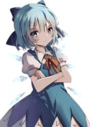 Rule 34 | 1girl, blue dress, blue eyes, blue hair, cirno, collared shirt, dress, fairy wings, flat chest, highres, ice, ice wings, long dress, natsume suzuri, neck ribbon, pinafore dress, puffy short sleeves, puffy sleeves, red ribbon, ribbon, shirt, short hair, short sleeves, simple background, sleeveless dress, solo, touhou, white background, white shirt, wings