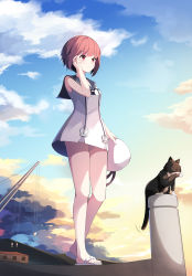 Rule 34 | 1girl, alternate costume, brown eyes, brown hair, cat, day, dress, full body, hat, highres, holding, holding clothes, holding hat, kagami (galgamesion), kantai collection, md5 mismatch, outdoors, panties, pantyshot, pink panties, playing with own hair, resolution mismatch, sailor collar, sailor dress, sailor hat, sandals, short dress, short hair, sky, sleeveless, sleeveless dress, solo, source smaller, standing, underwear, unsinkable sam, unworn hat, unworn headwear, upskirt, white dress, white hat, z3 max schultz (kancolle)