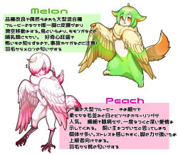 Rule 34 | + +, 2girls, ahoge, bachikin (kingyo155), bird legs, bird tail, blush, claws, commentary request, feathered wings, feathers, food-themed creature, gradient hair, gradient wings, green feathers, green hair, hair between eyes, hair over one eye, harpy, highres, melon (bachikin), monster girl, multicolored hair, multicolored wings, multiple girls, neck fur, open mouth, orange eyes, orange feathers, original, peach (bachikin), pink eyes, pink feathers, pink hair, pink wings, short hair, simple background, tail, talons, translation request, white background, white feathers, white hair, white wings, winged arms, wings