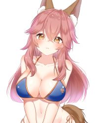 Rule 34 | 1girl, absurdres, animal ear fluff, animal ears, bad id, bad pixiv id, bikini, blue bikini, blush, breasts, cleavage, collarbone, commentary, commentary request, fate/grand order, fate (series), fox ears, fox girl, fox tail, highres, large breasts, long hair, looking at viewer, navel, pink hair, shinonome asu, side-tie bikini bottom, simple background, solo, swimsuit, tail, tamamo (fate), tamamo no mae (fate/extra), tamamo no mae (swimsuit lancer) (fate), white background, yellow eyes