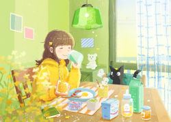 Rule 34 | 1girl, :&lt;, animal, ao (aohari), black cat, blunt bangs, blurry, blush, book, bookmark, bottle, bowl, bread, bread slice, breakfast, brown hair, butter, cat, chair, cherry tomato, closed eyes, closed mouth, coffee mug, commentary request, cup, curtains, depth of field, diagonal stripes, door, drawing (object), drawstring, drink, drinking, egg (food), elbow rest, facing viewer, flower, food, fork, fried egg, from side, fruit, glass, glass bowl, glass door, hair flower, hair ornament, hand up, holding, holding cup, holding drink, holding food, honey, hood, hood down, hoodie, indoors, jam, jar, lamp, light particles, long hair, long sleeves, meal, milk, milk carton, morning, mug, no lineart, object on head, on chair, original, partially immersed, perspective, pet, placemat, plaid, plant, plate, potted plant, power lines, puffy long sleeves, puffy sleeves, railing, rapeseed blossoms, room, salad, sausage, scenery, shade, sidelighting, sidelocks, signature, silhouette, sitting, sliding doors, slit pupils, smile, solid circle eyes, solo, soup, star (symbol), steam, striped, stuffed animal, stuffed toy, sunlight, table, teddy bear, toast, tomato, transparent, u u, umeboshi, upper body, wooden chair, wooden table, yellow flower, yellow hoodie