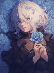 Rule 34 | 1girl, black bow, black dress, blue eyes, blue flower, blue rose, blue theme, bow, chloe d&#039;apchier, commentary, dress, dress bow, english commentary, flower, grin, hair between eyes, highres, holding, holding flower, looking at viewer, lying, on back, parted lips, petal on face, petals, rose, short hair, smile, solo, upper body, vanitas no carte, white hair, zieru