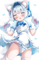 Rule 34 | 1girl, absurdres, animal ears, animal hands, blue bow, blue bowtie, blue dress, blue eyes, blue hair, blue panties, bow, bowtie, cameltoe, cat ears, cat girl, cat paws, cat tail, cleft of venus, commentary request, dress, fang, gloves, groin, hair intakes, hair ornament, hairclip, heart, heterochromia, highres, komugi (2212), looking at viewer, open mouth, panties, pantyshot, paw gloves, puffy short sleeves, puffy sleeves, short hair, short sleeves, simple background, skin fang, solo, striped clothes, striped panties, tail, thighhighs, two side up, underwear, white background, white headwear, white thighhighs, yellow eyes
