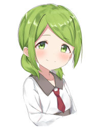 Rule 34 | 1girl, absurdres, blush, closed mouth, collarbone, collared shirt, cropped torso, green eyes, green hair, highres, looking at viewer, low twintails, morinaka kazaki, necktie, nijisanji, red necktie, shirt, short necktie, short twintails, simple background, smile, solo, swept bangs, twintails, upper body, virtual youtuber, white background, white shirt, yotsugi