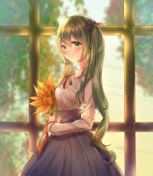 Rule 34 | 1girl, backlighting, blurry, blurry background, blush, bouquet, closed mouth, collared shirt, flower, from side, green eyes, green hair, grey skirt, guzangnanfeng, hair between eyes, hair ribbon, hatsune miku, high-waist skirt, highres, holding, holding bouquet, long hair, long skirt, long sleeves, neck ribbon, purple ribbon, red ribbon, ribbon, shirt, skirt, smile, solo, standing, sunflower, twintails, very long hair, vocaloid, white shirt, wing collar, yellow flower