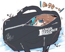Rule 34 | 1girl, :&gt;, amiya (arknights), animal ear fluff, animal ears, arknights, bag, beni shake, black jacket, blue eyes, blush stickers, brown hair, closed mouth, colored shadow, commentary request, duffel bag, hair between eyes, in bag, in container, jacket, long hair, looking at viewer, open clothes, open jacket, rabbit ears, shadow, signature, solo, translation request, white background