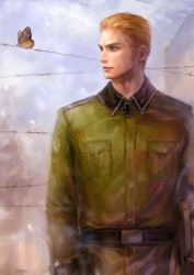 Rule 34 | 1boy, axis powers hetalia, bad id, bad pixiv id, barbed wire, belt, blonde hair, blue eyes, bug, butterfly, cross, germany (hetalia), insect, iron cross, lotus (elico), male focus, military, military uniform, solo, standing, uniform