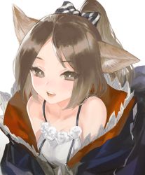 Rule 34 | 1girl, animal ears, arknights, blue bow, blue jacket, bow, breasts, brown eyes, brown hair, dress, eyelashes, fox ears, frischenq, hair bow, jacket, looking at viewer, medium hair, off shoulder, open clothes, open jacket, open mouth, parted bangs, perfumer (arknights), ponytail, simple background, sleeveless, sleeveless dress, small breasts, smile, solo, striped, striped bow, traditional media, upper body, white background, white dress