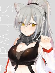 Rule 34 | 1girl, animal ear fluff, animal ears, arknights, bare shoulders, black scarf, blush, breasts, cat ears, character name, cleavage, commentary, crop top, grey background, hair between eyes, hand up, highres, jacket, large breasts, long hair, long sleeves, looking at viewer, midriff, off shoulder, open clothes, open jacket, parted lips, scarf, schwarz (arknights), silver hair, simple background, sirom, solo, upper body, v-shaped eyebrows, yellow eyes