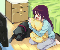 Rule 34 | &gt;:d, 1girl, :d, animal, aqua shirt, barefoot, bed sheet, bedroom, blue shirt, blush, brown eyes, brown hair, clenched hand, collar, denchuubou, dog, drawer, excited, grey pants, indoors, long hair, long sleeves, looking to the side, hugging object, one eye closed, open mouth, original, pants, pet, pillow, pillow hug, red collar, seiza, shirt, sitting, smile, sweatpants, television, v-shaped eyebrows, wooden floor