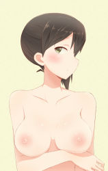 Rule 34 | 10s, 1girl, bad id, bad pixiv id, blush, breasts, brown eyes, brown hair, highres, kaga (kancolle), kantai collection, large breasts, looking at viewer, nipples, nude, personification, shinose (sinose), short hair, side ponytail, solo
