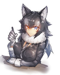 Rule 34 | 10s, 1girl, animal ears, black hair, black jacket, blue eyes, breast pocket, breasts, closed mouth, commentary request, fur collar, gloves, grey hair, grey necktie, grey wolf (kemono friends), heterochromia, highres, jacket, kemono friends, large breasts, long hair, long sleeves, looking at viewer, melon22, multicolored hair, necktie, pen, pocket, silver necktie, smile, solo, tsurime, two-tone hair, upper body, white gloves, wolf ears, yellow eyes
