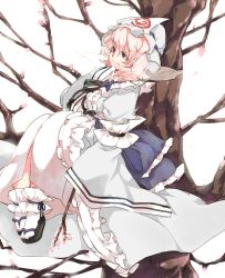 Rule 34 | 1girl, arm ribbon, blue dress, cherry blossoms, dress, eyebrows, female focus, hat, in tree, iroyopon, long sleeves, pink hair, red eyes, ribbon, saigyouji yuyuko, sash, sitting, sitting in tree, smile, solo, thick eyebrows, touhou, tree, triangular headpiece, veil, wide sleeves