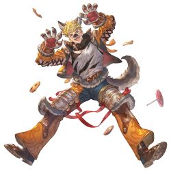 Rule 34 | 1boy, abs, animal costume, animal ears, bara, black tank top, blonde hair, candy, clothing cutout, cookie, cropped jacket, cross-laced clothes, cross-laced cutout, cross-laced top, fangs, food, fur collar, granblue fantasy, green eyes, halloween costume, jacket, knee pads, large pectorals, looking at viewer, male focus, minaba hideo, muscular, muscular male, official alternate costume, official art, open clothes, open jacket, open mouth, orange jacket, pants, paw pose, pectorals, shirt, short hair, smile, solo, tail, tank top, teeth, torn clothes, torn shirt, transparent background, vane (granblue fantasy), white shirt, wolf boy, wolf costume, wolf ears, wolf paws, wolf tail