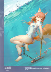 Rule 34 | 1girl, absurdres, animal ears, ankle cuffs, ass, ball gag, barefoot, bdsm, bikini, blue bikini, bondage, bound, brown hair, chain, cuffs, fate/grand order, fate (series), feet, floating hair, fox ears, fox tail, gag, gagged, hair between eyes, highres, himitsu (hi mi tsu 2), long hair, looking back, outdoors, partially underwater shot, peril, restrained, scan, shackles, shirt, short sleeves, soles, solo, swimsuit, tail, tamamo (fate), tamamo no mae (fate/extra), tamamo no mae (swimsuit lancer) (fate), tamamo no mae (swimsuit lancer) (second ascension) (fate), toes, underwater, untied bikini, wet, wet clothes, wet shirt, white shirt, wiffle gag, yellow eyes