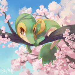 Rule 34 | branch, brown eyes, closed mouth, commentary, creatures (company), day, english commentary, flower, game freak, gen 5 pokemon, looking down, lying, nintendo, no humans, outdoors, pink flower, pokemon, pokemon (creature), rileykitty, signature, sky, smile, snivy, solo