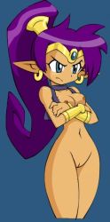 Rule 34 | 1girl, blue eyes, breasts, earrings, jewelry, medium breasts, navel, nipples, nude, nude filter, purple hair, pussy, shantae, shantae (series), shantae and the pirate&#039;s curse, solo, third-party edit, uncensored, wayforward