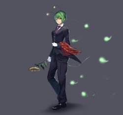 Rule 34 | &gt;:(, 1girl, aged up, alternate costume, antennae, black footwear, black jacket, black pants, closed mouth, dress shirt, fireflies, flower, formal, from side, frown, full body, gloves, green eyes, green hair, hanging on arm, highres, holding, holding flower, jacket, kikimifukuri, long sleeves, looking at viewer, looking to the side, matching hair/eyes, necktie, one-hour drawing challenge, pant suit, pants, plaid, purple necktie, shirt, shoes, solo, suit, sunflower, touhou, tuxedo, v-shaped eyebrows, white gloves, wing collar, wriggle nightbug