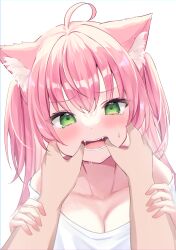 Rule 34 | 1girl, animal ear fluff, animal ears, arm grab, breasts, cat ears, cat girl, finger in another&#039;s mouth, green eyes, hamico, haruka (hamico), highres, long hair, looking at viewer, medium breasts, mouth pull, original, pink hair, pov, pov hands, shirt, sweat, tears, two side up, white background, white shirt
