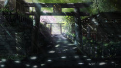 Rule 34 | artist name, cherry blossoms, fence, highres, kyoto, light rays, multiple torii, niko p, no humans, original, path, road, scenery, shadow, sign, sunlight, torii, tree, tree shade, wallpaper