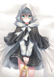 Rule 34 | 1girl, birdcage, black capelet, black dress, bow, cage, cape, capelet, closed mouth, commentary request, dress, fate (series), fur trim, gray (fate), green eyes, grey hair, hair between eyes, highres, holding, hood, hood up, long sleeves, looking at viewer, lord el-melloi ii case files, own hands together, seungju lee, smile, solo, v arms, white bow, white cape