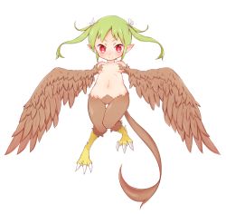 Rule 34 | 1girl, breasts, claws, green hair, harpy, highres, kai himo, long hair, monster girl, navel, original, pointy ears, red eyes, simple background, small breasts, smile, solo, tail, twintails, winged arms, wings